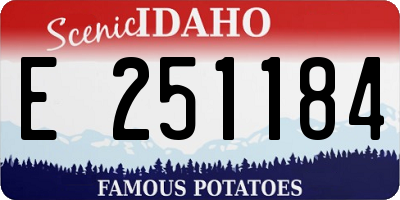 ID license plate E251184