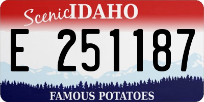 ID license plate E251187