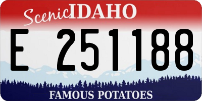 ID license plate E251188