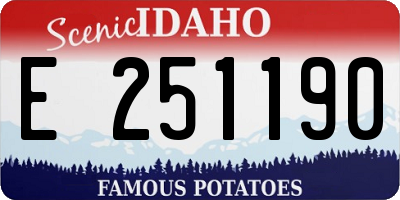 ID license plate E251190