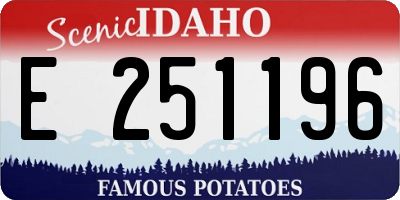 ID license plate E251196