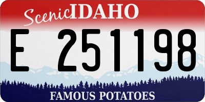 ID license plate E251198