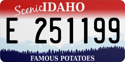 ID license plate E251199