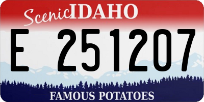 ID license plate E251207
