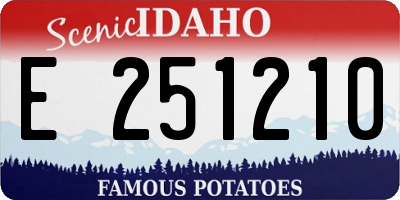 ID license plate E251210