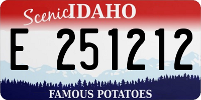 ID license plate E251212