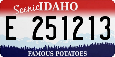 ID license plate E251213