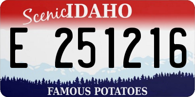 ID license plate E251216