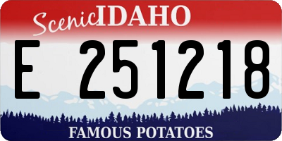 ID license plate E251218