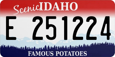 ID license plate E251224