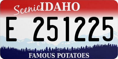 ID license plate E251225