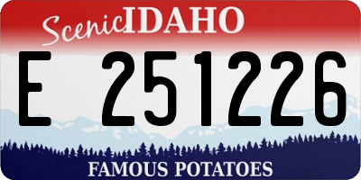 ID license plate E251226