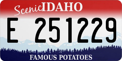 ID license plate E251229