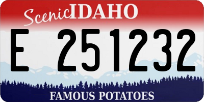ID license plate E251232