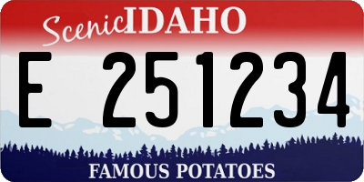 ID license plate E251234
