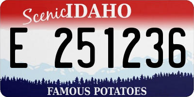 ID license plate E251236