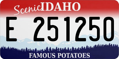ID license plate E251250