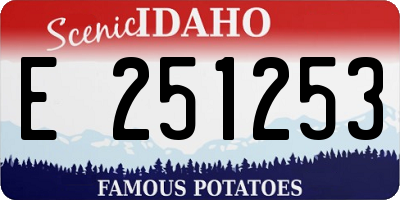 ID license plate E251253