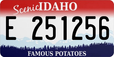ID license plate E251256