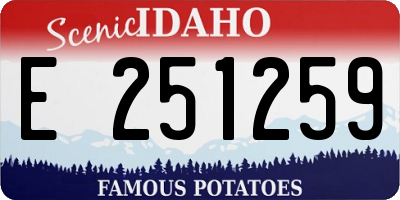 ID license plate E251259