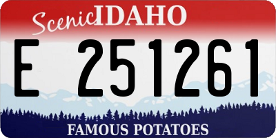 ID license plate E251261