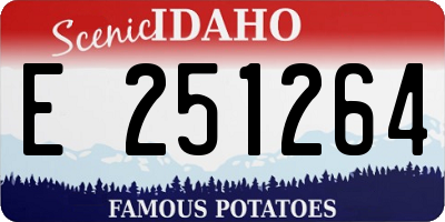 ID license plate E251264