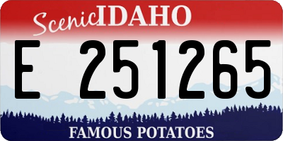 ID license plate E251265