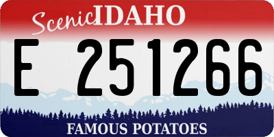 ID license plate E251266