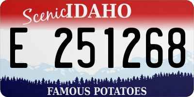 ID license plate E251268