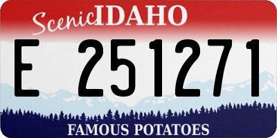 ID license plate E251271