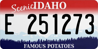 ID license plate E251273