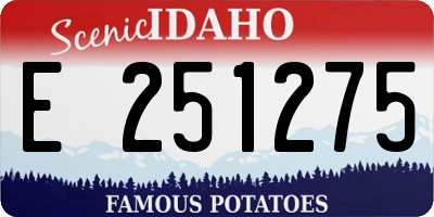ID license plate E251275