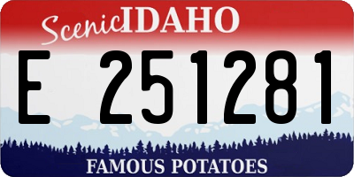 ID license plate E251281