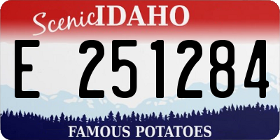 ID license plate E251284