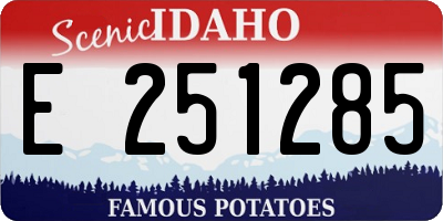 ID license plate E251285