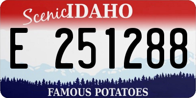 ID license plate E251288