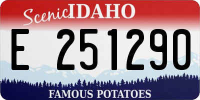 ID license plate E251290