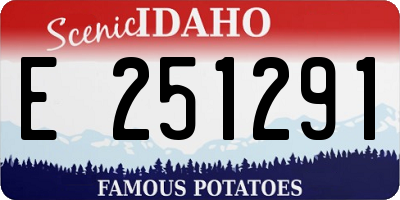 ID license plate E251291