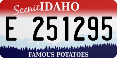 ID license plate E251295