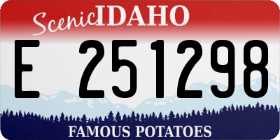 ID license plate E251298