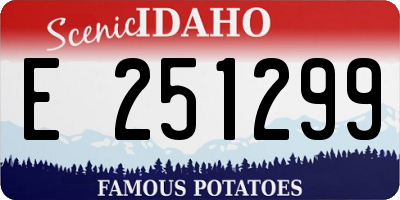 ID license plate E251299