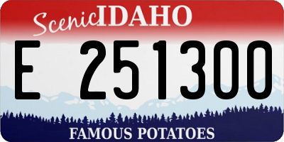 ID license plate E251300