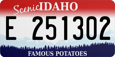 ID license plate E251302