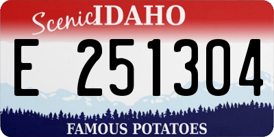ID license plate E251304
