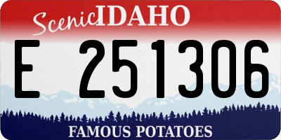 ID license plate E251306