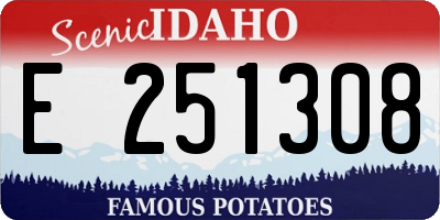 ID license plate E251308