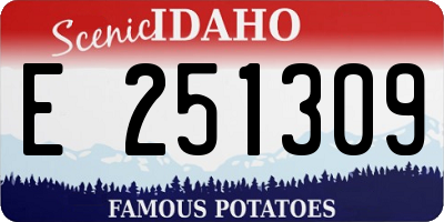 ID license plate E251309