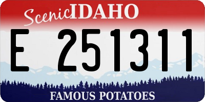 ID license plate E251311