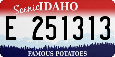 ID license plate E251313