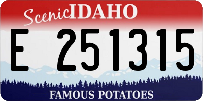 ID license plate E251315